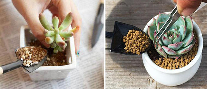 貴陽(yáng)保潔公司